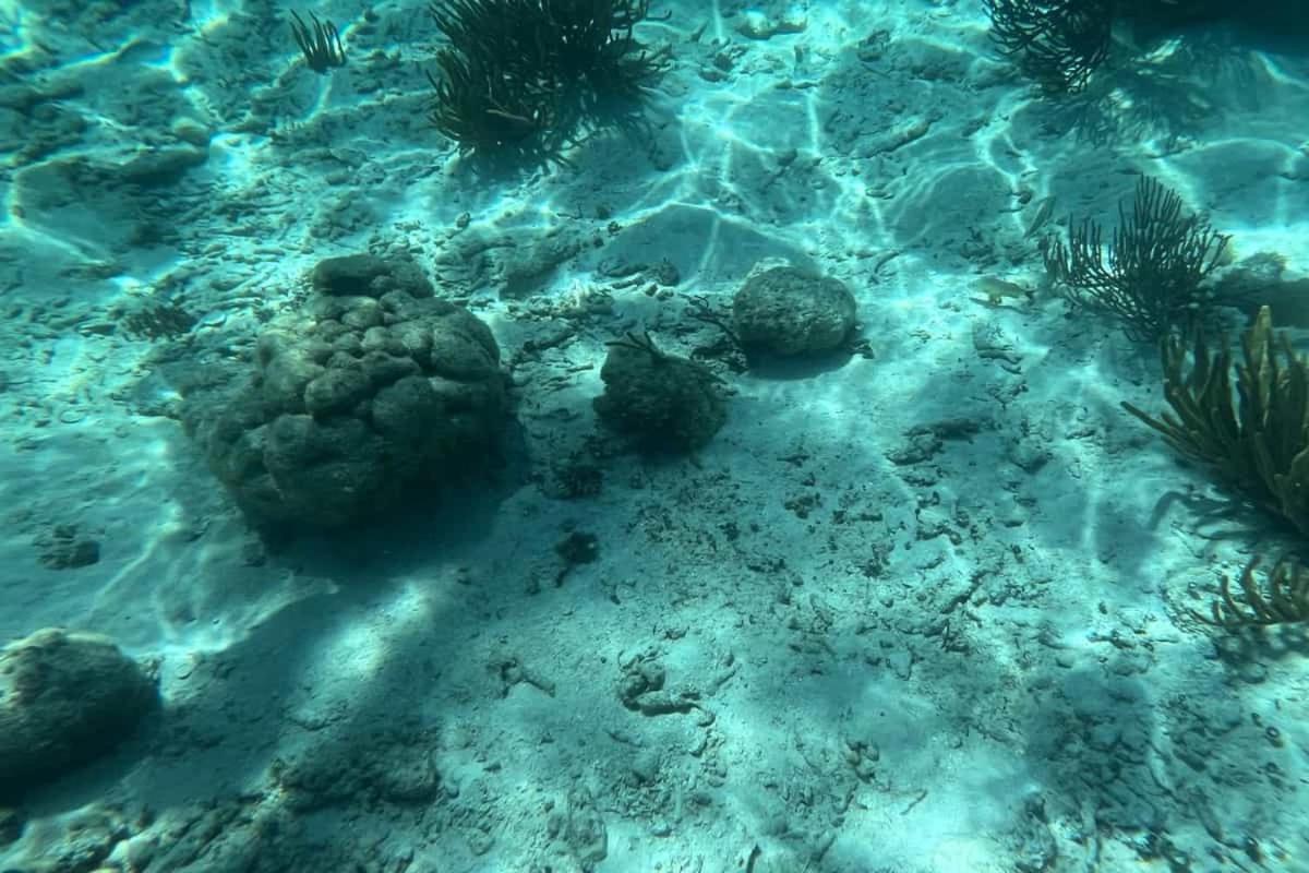 White Sands Cove San Pedro  Esterno foto
